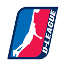 Team NBA D-League